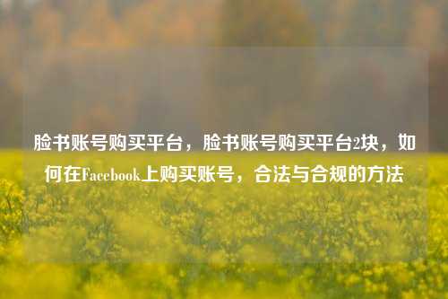 脸书账号购买平台	，脸书账号购买平台2块，如何在Facebook上购买账号，合法与合规的方法  第1张