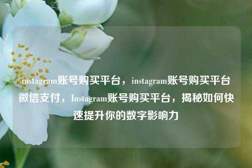 instagram账号购买平台，instagram账号购买平台微信支付，Instagram账号购买平台，揭秘如何快速提升你的数字影响力