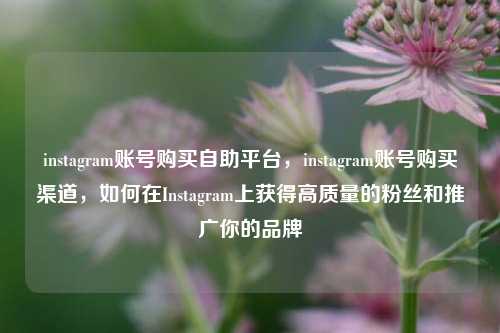 instagram账号购买自助平台，instagram账号购买渠道，如何在Instagram上获得高质量的粉丝和推广你的品牌