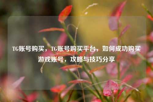 TG账号购买，TG账号购买平台，如何成功购买游戏账号，攻略与技巧分享