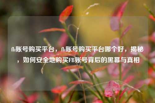 fb账号购买平台，fb账号购买平台哪个好，揭秘，如何安全地购买FB账号背后的黑幕与真相