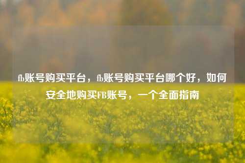 fb账号购买平台，fb账号购买平台哪个好，如何安全地购买FB账号，一个全面指南