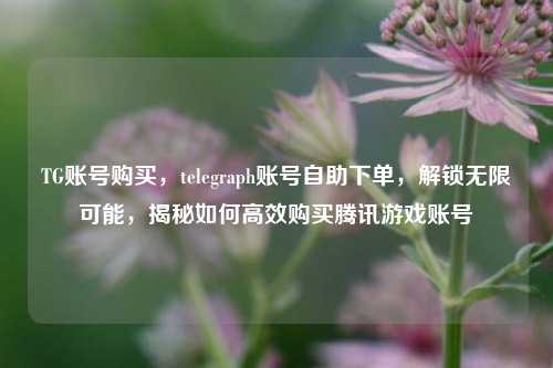 TG账号购买，telegraph账号自助下单，解锁无限可能，揭秘如何高效购买腾讯游戏账号