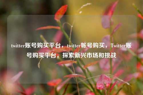 twitter账号购买平台，twitter帐号购买，Twitter账号购买平台，探索新兴市场和挑战
