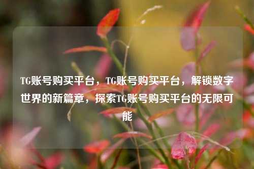 TG账号购买平台，TG账号购买平台，解锁数字世界的新篇章，探索TG账号购买平台的无限可能