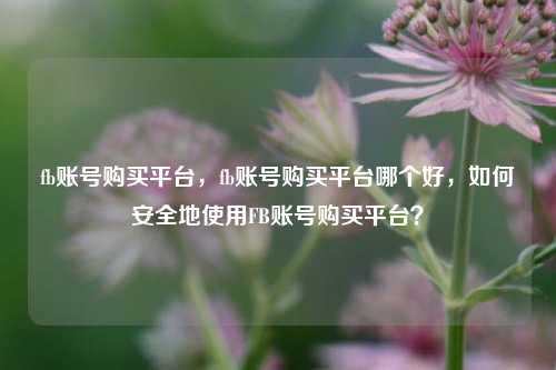 fb账号购买平台，fb账号购买平台哪个好	，如何安全地使用FB账号购买平台？  第1张