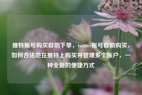 推特账号购买自助下单，twitter账号自助购买，如何合法地在推特上购买并管理多个账户，一种全新的便捷方式