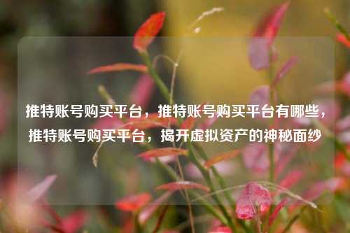 推特账号购买平台	，推特账号购买平台有哪些，推特账号购买平台，揭开虚拟资产的神秘面纱  第1张