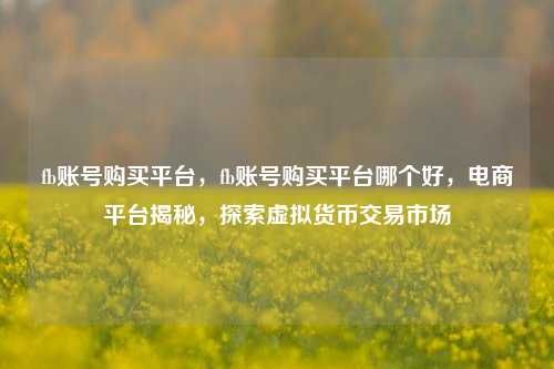 fb账号购买平台，fb账号购买平台哪个好，电商平台揭秘，探索虚拟货币交易市场