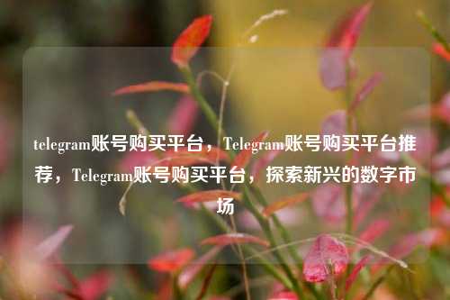 telegram账号购买平台，Telegram账号购买平台推荐，Telegram账号购买平台，探索新兴的数字市场