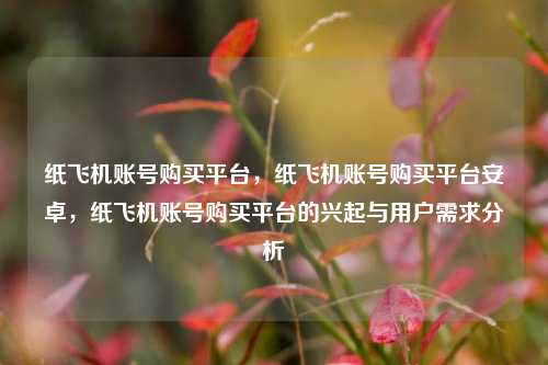 纸飞机账号购买平台，纸飞机账号购买平台安卓	，纸飞机账号购买平台的兴起与用户需求分析  第1张