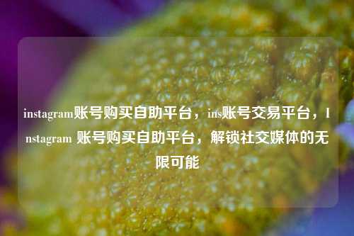 instagram账号购买自助平台，ins账号交易平台，Instagram 账号购买自助平台，解锁社交媒体的无限可能