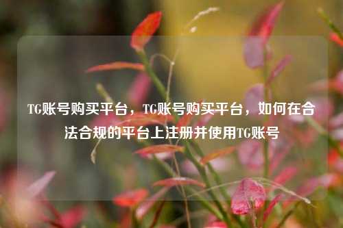 TG账号购买平台，TG账号购买平台，如何在合法合规的平台上注册并使用TG账号