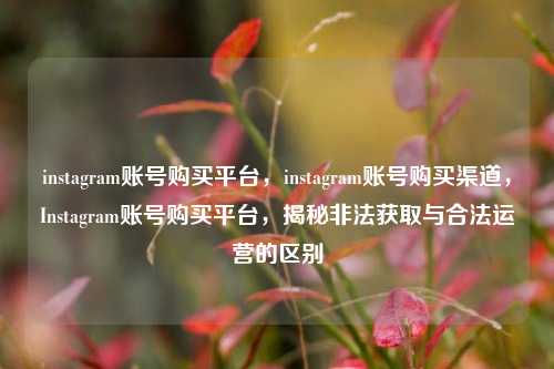 instagram账号购买平台，instagram账号购买渠道，Instagram账号购买平台，揭秘非法获取与合法运营的区别