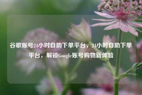 谷歌账号24小时自助下单平台，24小时自助下单平台，解锁Google账号购物新体验