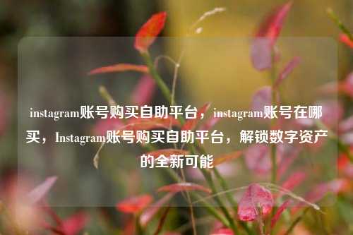 instagram账号购买自助平台，instagram账号在哪买，Instagram账号购买自助平台，解锁数字资产的全新可能