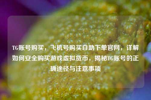 TG账号购买，飞机号购买自助下单官网，详解如何安全购买游戏虚拟货币，揭秘TG账号的正确途径与注意事项