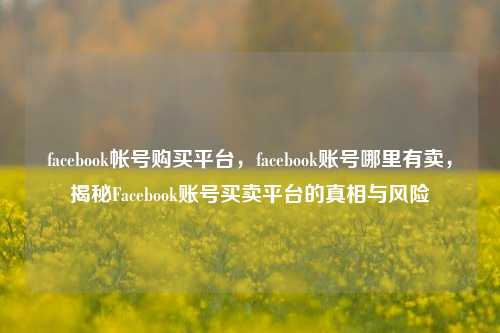 facebook帐号购买平台，facebook账号哪里有卖，揭秘Facebook账号买卖平台的真相与风险