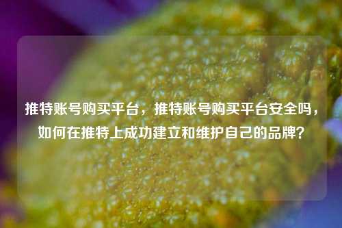 推特账号购买平台，推特账号购买平台安全吗，如何在推特上成功建立和维护自己的品牌？