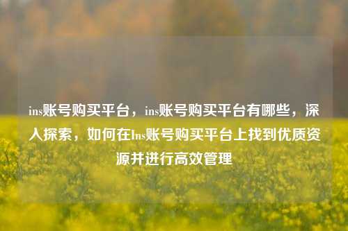 ins账号购买平台，ins账号购买平台有哪些，深入探索，如何在Ins账号购买平台上找到优质资源并进行高效管理