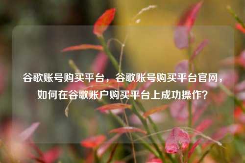 谷歌账号购买平台，谷歌账号购买平台官网，如何在谷歌账户购买平台上成功操作？