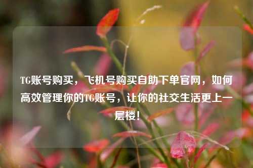 TG账号购买，飞机号购买自助下单官网，如何高效管理你的TG账号，让你的社交生活更上一层楼！