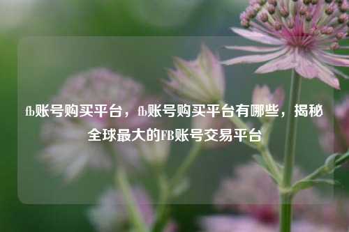 fb账号购买平台，fb账号购买平台有哪些，揭秘全球最大的FB账号交易平台