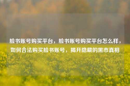 脸书账号购买平台，脸书账号购买平台怎么样，如何合法购买脸书账号，揭开隐藏的黑市真相