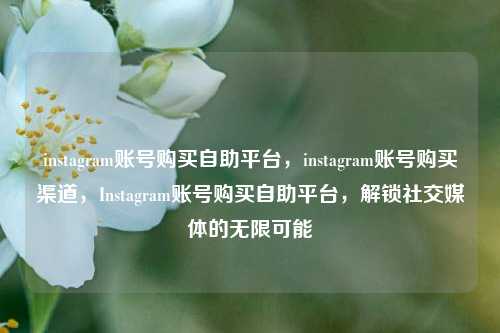 instagram账号购买自助平台，instagram账号购买渠道，Instagram账号购买自助平台，解锁社交媒体的无限可能