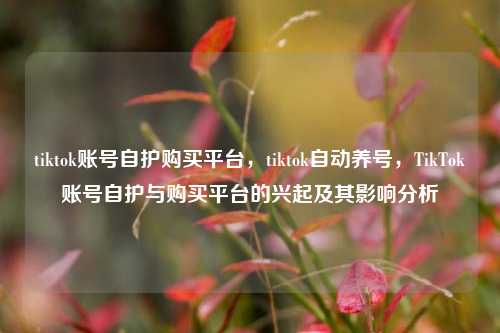 tiktok账号自护购买平台，tiktok自动养号，TikTok账号自护与购买平台的兴起及其影响分析