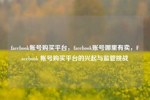 facebook帐号购买平台，facebook账号哪里有卖，Facebook 帐号购买平台的兴起与监管挑战