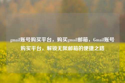 gmail账号购买平台，购买gmail邮箱，Gmail账号购买平台，解锁无限邮箱的便捷之路