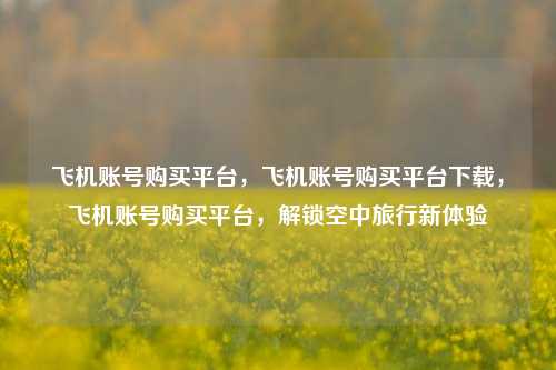飞机账号购买平台，飞机账号购买平台下载，飞机账号购买平台，解锁空中旅行新体验