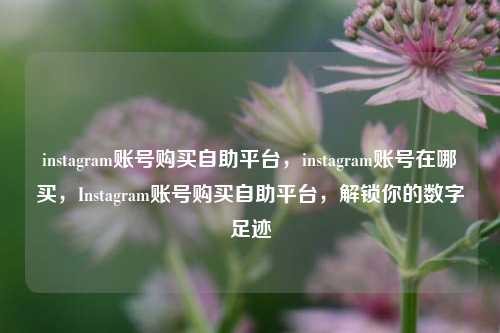instagram账号购买自助平台，instagram账号在哪买，Instagram账号购买自助平台，解锁你的数字足迹