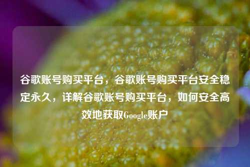 谷歌账号购买平台，谷歌账号购买平台安全稳定永久，详解谷歌账号购买平台，如何安全高效地获取Google账户