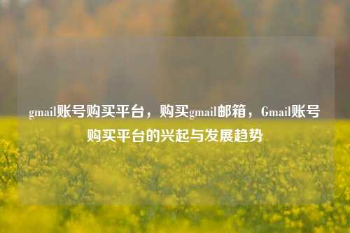 gmail账号购买平台，购买gmail邮箱，Gmail账号购买平台的兴起与发展趋势