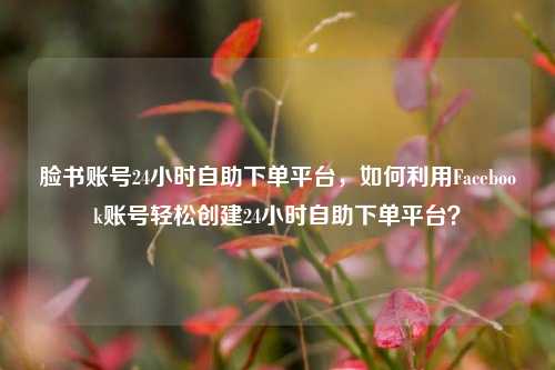 脸书账号24小时自助下单平台，如何利用Facebook账号轻松创建24小时自助下单平台？