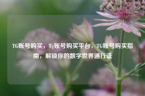 TG账号购买，Tg账号购买平台，TG账号购买指南，解锁你的数字世界通行证