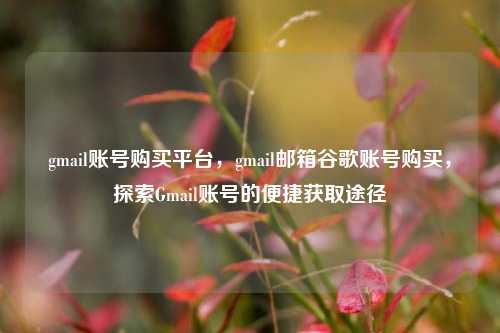 gmail账号购买平台，gmail邮箱谷歌账号购买，探索Gmail账号的便捷获取途径