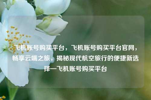 飞机账号购买平台，飞机账号购买平台官网，畅享云端之旅，揭秘现代航空旅行的便捷新选择—飞机账号购买平台