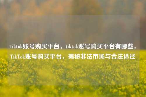 tiktok账号购买平台，tiktok账号购买平台有哪些，TikTok账号购买平台，揭秘非法市场与合法途径