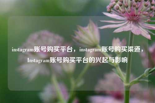 instagram账号购买平台，instagram账号购买渠道，Instagram账号购买平台的兴起与影响