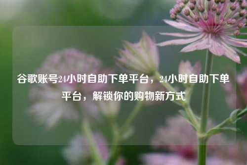 谷歌账号24小时自助下单平台，24小时自助下单平台，解锁你的购物新方式