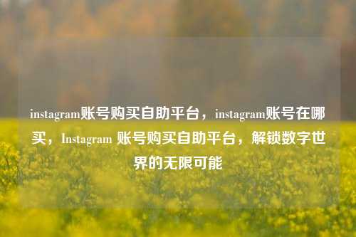 instagram账号购买自助平台，instagram账号在哪买，Instagram 账号购买自助平台，解锁数字世界的无限可能