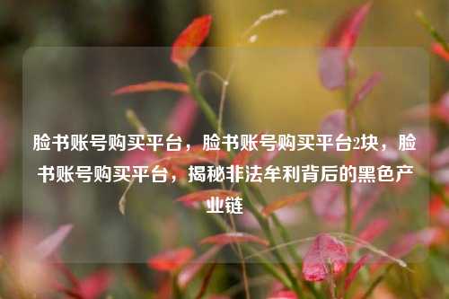 脸书账号购买平台，脸书账号购买平台2块，脸书账号购买平台，揭秘非法牟利背后的黑色产业链
