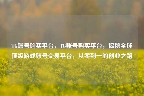 TG账号购买平台，TG账号购买平台，揭秘全球顶级游戏账号交易平台，从零到一的创业之路