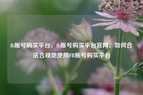 fb账号购买平台，fb账号购买平台官网，如何合法合规地使用FB账号购买平台