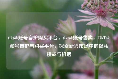 tiktok账号自护购买平台，tiktok账号售卖，TikTok账号自护与购买平台，探索新兴市场中的隐私挑战与机遇