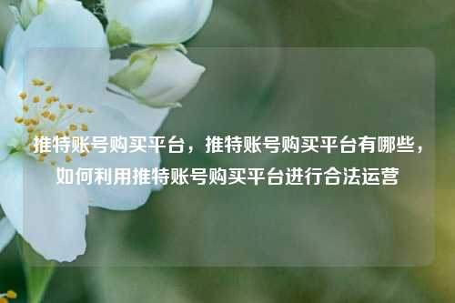 推特账号购买平台，推特账号购买平台有哪些，如何利用推特账号购买平台进行合法运营