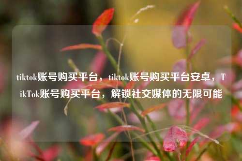 tiktok账号购买平台，tiktok账号购买平台安卓，TikTok账号购买平台，解锁社交媒体的无限可能